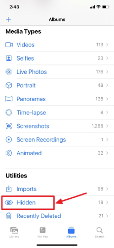 隠されたアルバムiPhone