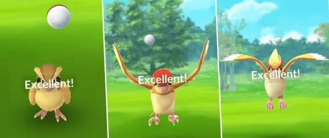 地域のポケモンを捕まえるために投げる練習