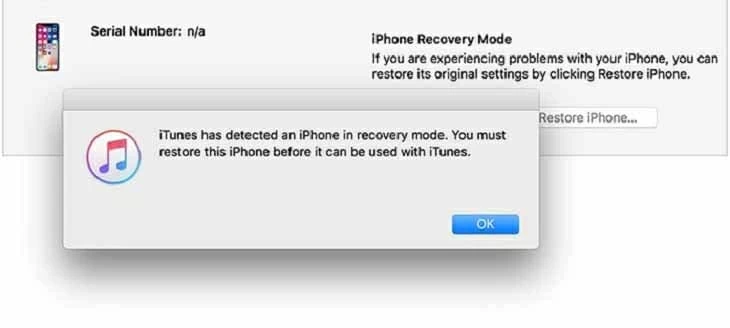 iPhone 11をDFUモードで復元します
