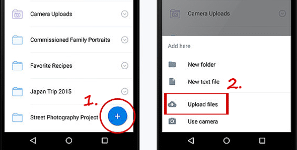 Dropboxを使用してPixelからiPhoneに写真を送信します