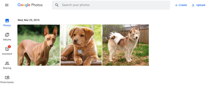 Googleフォトでノキアの電話からコンピューターに写真を転送する