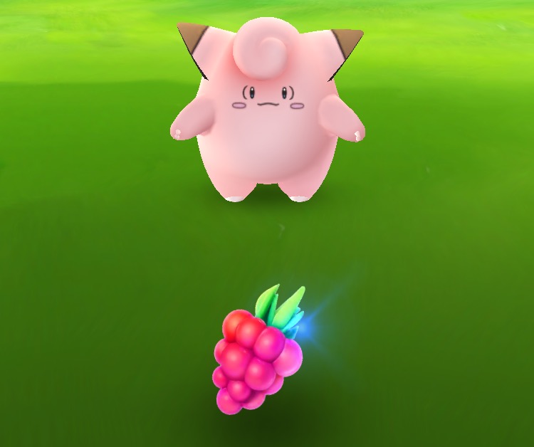 ポケモンを捕まえるためにラズベリーをピックアップします